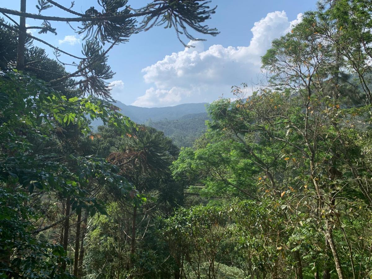 Casa Araucaria Holiday home